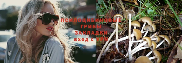 эйфоретик Заволжск